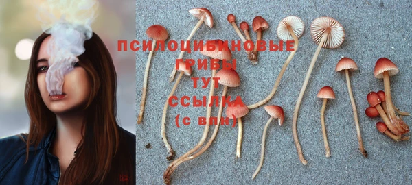 мет Балахна